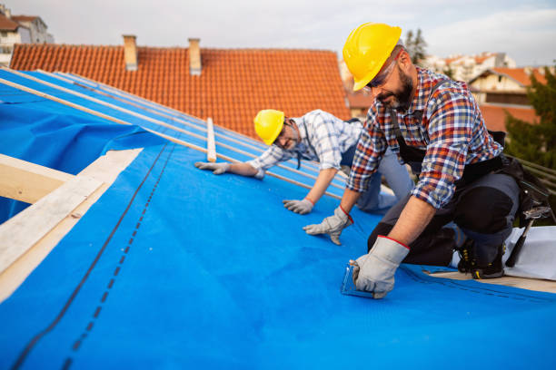 Best Roof Moss and Algae Removal  in Mountainside, NJ